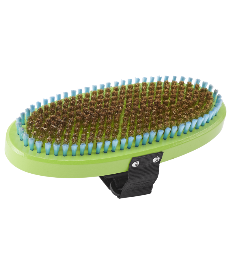 Dakine Premium Oval Brass Brush in Green 2025